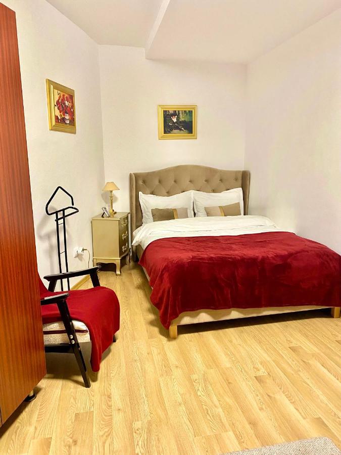 Studio Panoramic With Balcony And Parcul Unirii View Alba Iulia Eksteriør billede