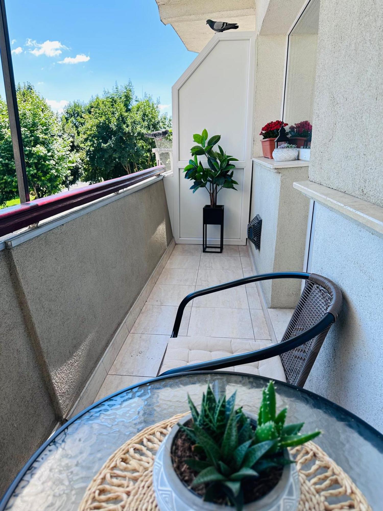 Studio Panoramic With Balcony And Parcul Unirii View Alba Iulia Eksteriør billede